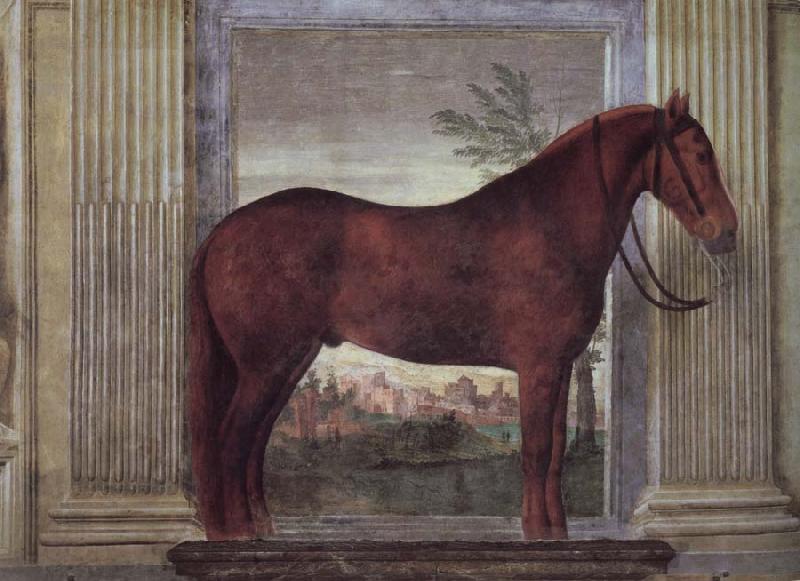 Giulio Romano Drawing-rooms dei Cavalli China oil painting art